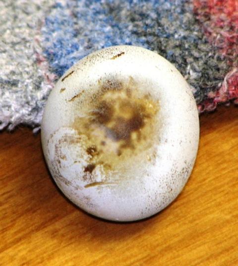 30370_eggs_009.jpg