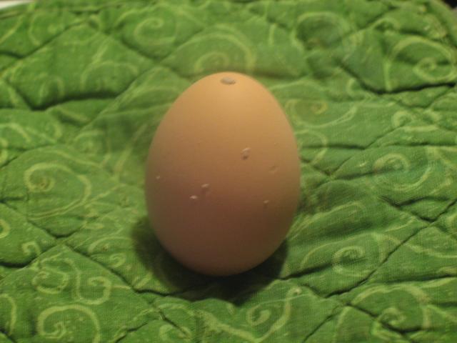 30389_bumpyegg.jpg