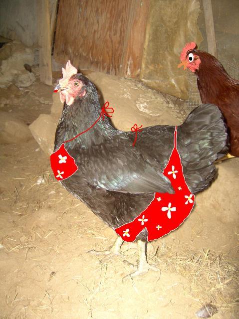 30391_bathingblackie.jpg