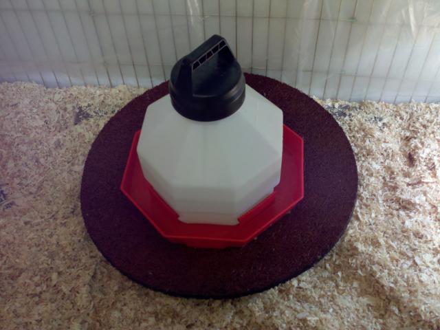 30466_2011-03-21_21-17-16_712.jpg