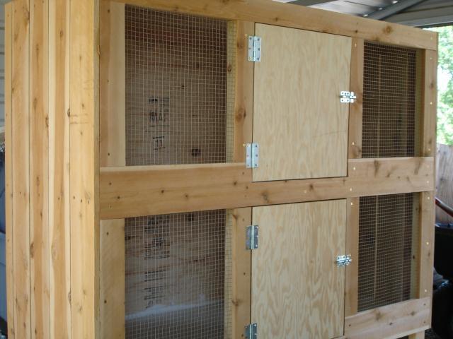 30473_chickens_512.jpg