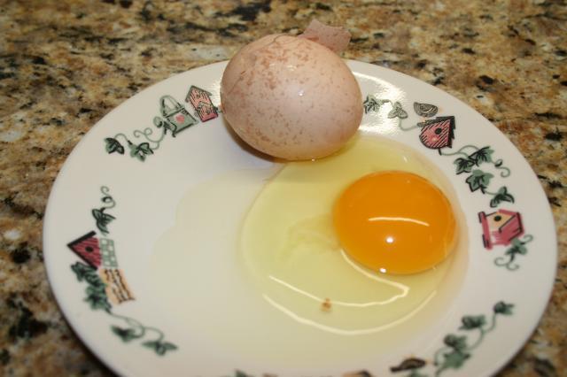 løfte Demonstrere oxiderer egg with red raised spots on shell | BackYard Chickens - Learn How to Raise  Chickens