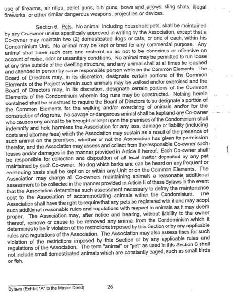 30527_agbylawsarticlev1sec6.jpg
