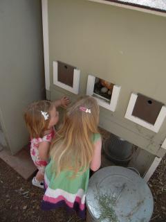 30548_easter_wk_end_10_-008.jpg