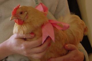 30548_easter_wk_end_10_-037.jpg