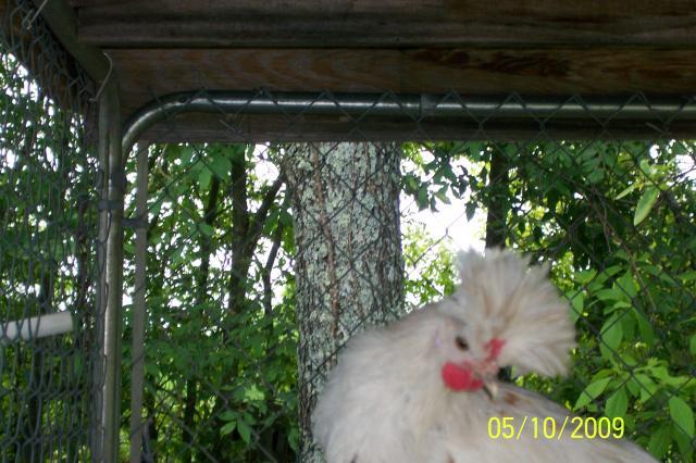 30566_100_2462.jpg
