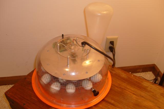 30646_digital_camera_525.jpg