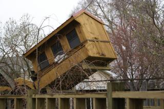 30659_chicken_yard_fence_gazebo_2010_027.jpg