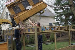 30659_chicken_yard_fence_gazebo_2010_034.jpg