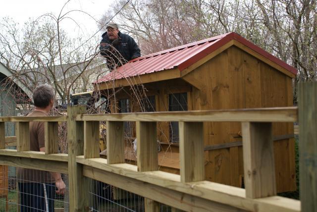 30659_chicken_yard_fence_gazebo_2010_041.jpg