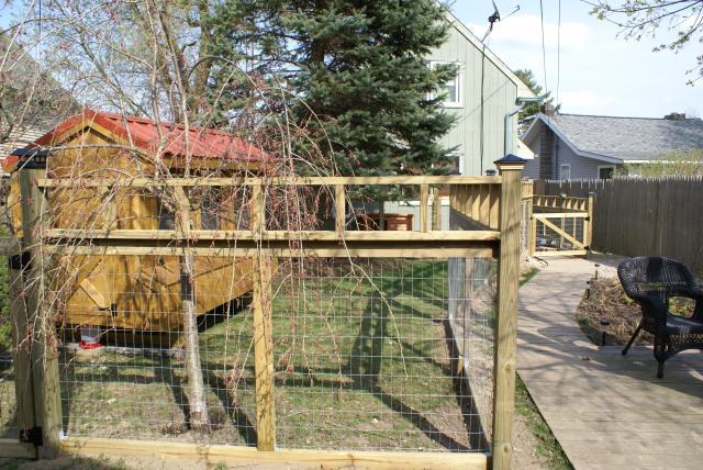 30659_chicken_yard_fence_gazebo_2010_077.jpg