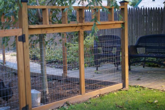 30659_yard_and_pets_and_fence_036.jpg