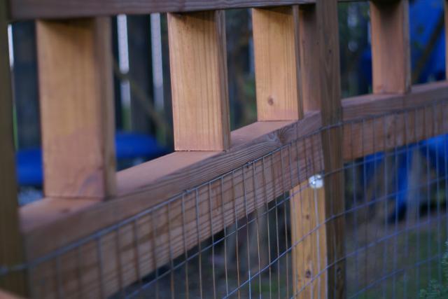 30659_yard_and_pets_and_fence_037.jpg