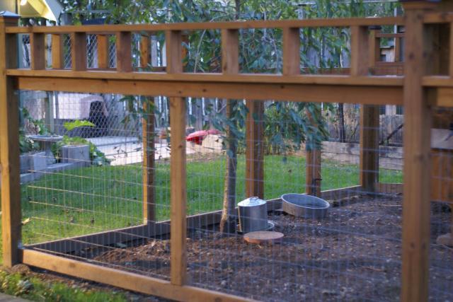 30659_yard_and_pets_and_fence_041.jpg