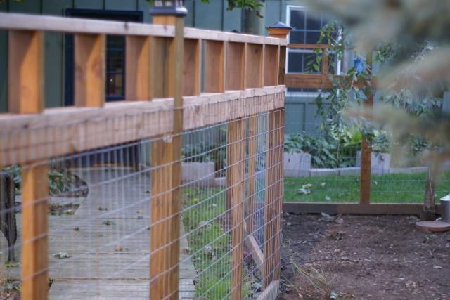 30659_yard_and_pets_and_fence_043.jpg