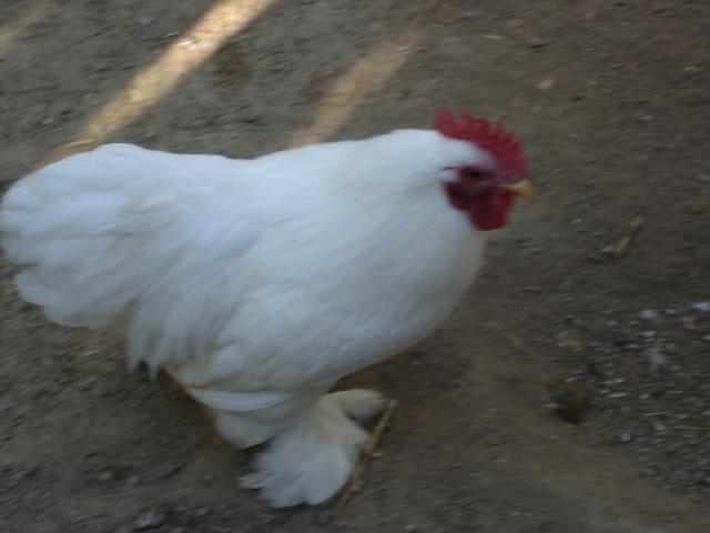 30747_004.jpg