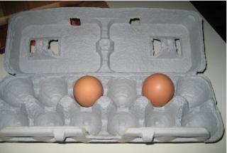 30798_eggs.jpg