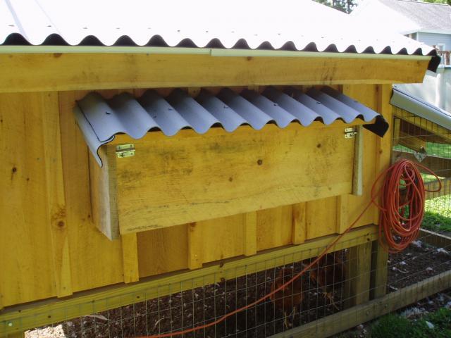 30865_nesting_boxes_and_chickens_002.jpg