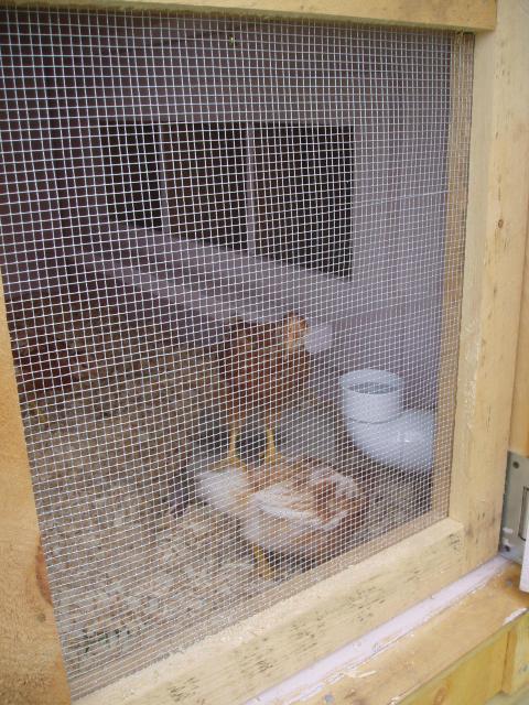 30865_pvc_waterer_004.jpg