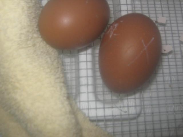 30964_031.jpg