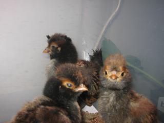 30964_img_2147.jpg