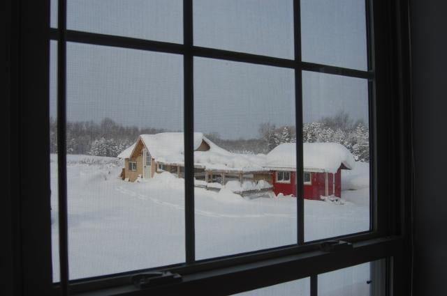 31142_snow_2010_005.jpg