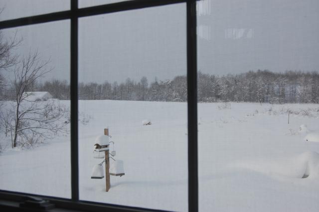31142_snow_2010_010.jpg