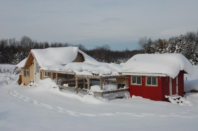 31142_xmas_2010_001.jpg