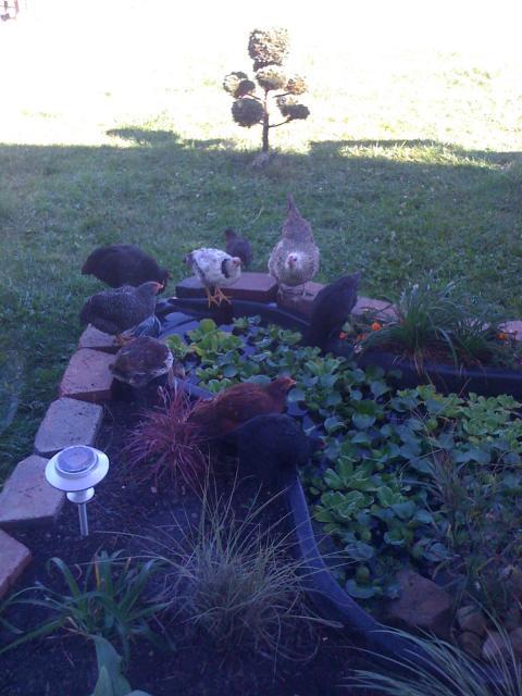 31148_nov4_480.jpg