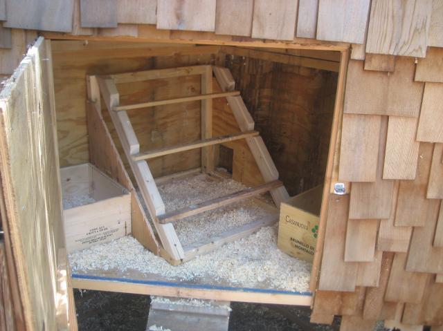 31251_inside_of_the_coop.jpg