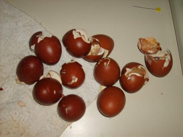 31282_06-11-10_bcm_hatch_017.jpg