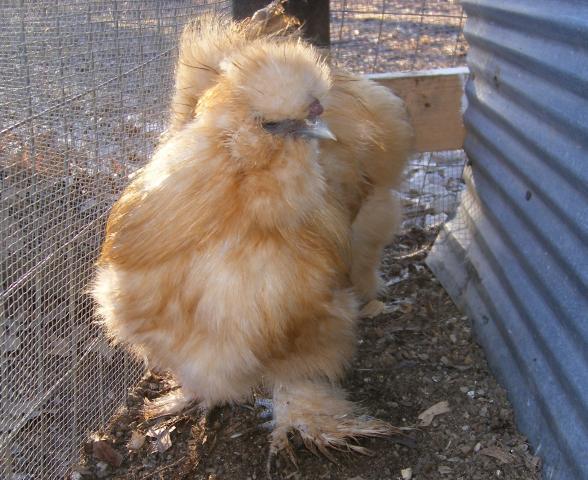 31282_1-28-2011miscell077.jpg