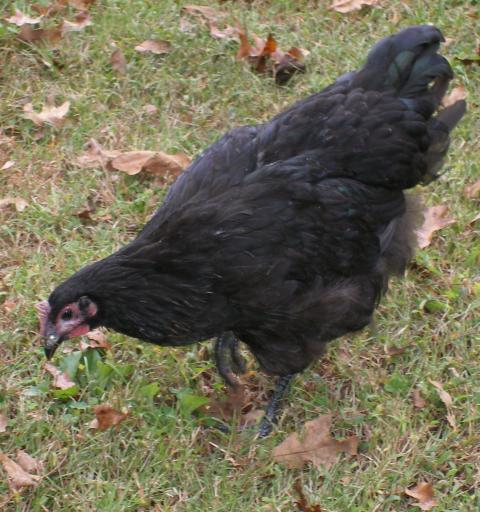 31282_10-22-2010.jpg