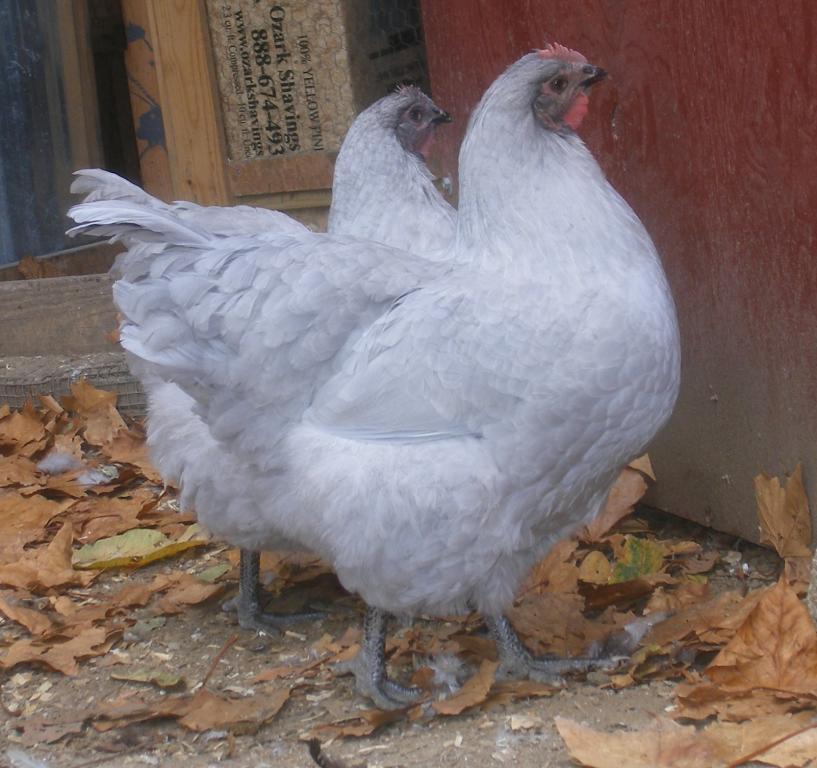 31282_10-9-2011m046.jpg