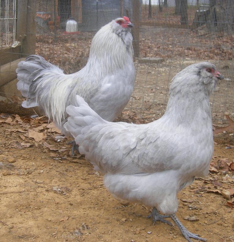31282_11-12-2011m020a.jpg