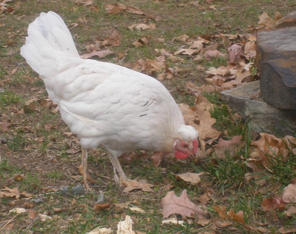 31282_11-14-2011m013.jpg