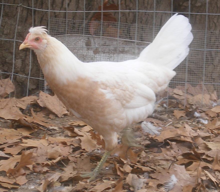 31282_11-14-2011m018.jpg