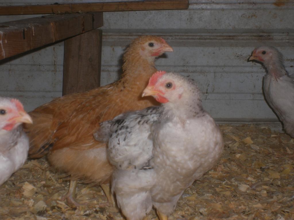 31282_11-14-2011m037.jpg