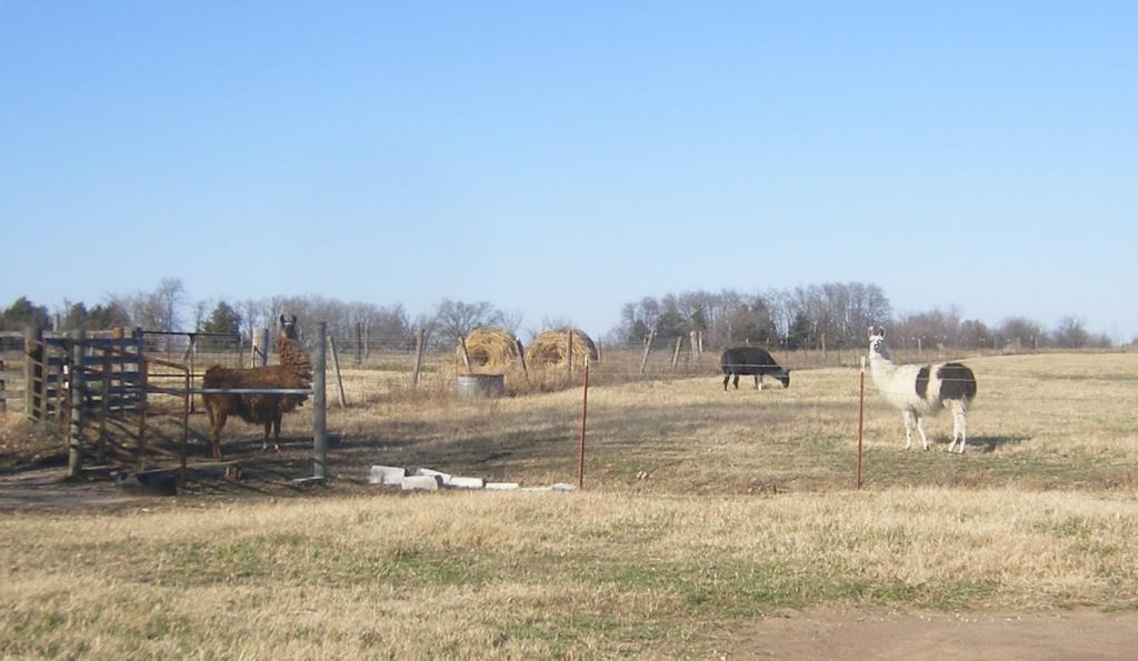 31282_11-17-2011a022a.jpg