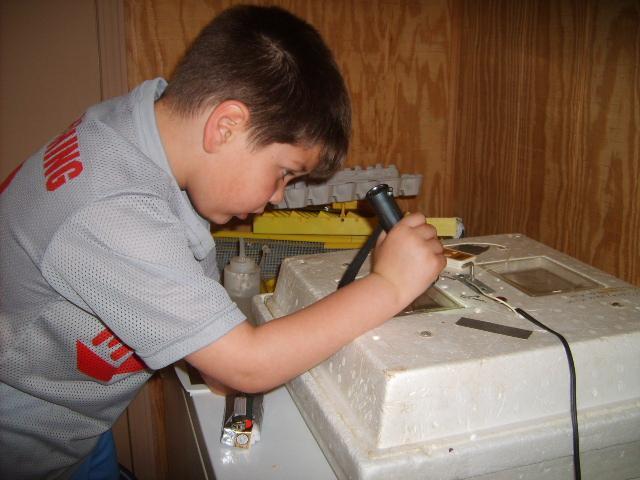 31282_4-1-10_kadins_hatch_002.jpg