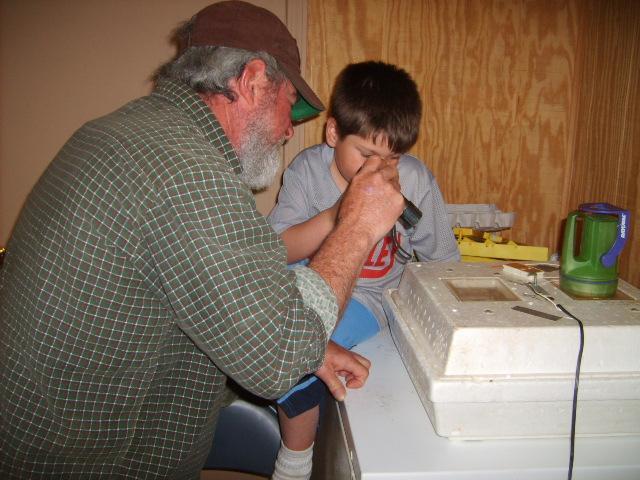 31282_4-1-10_kadins_hatch_003.jpg