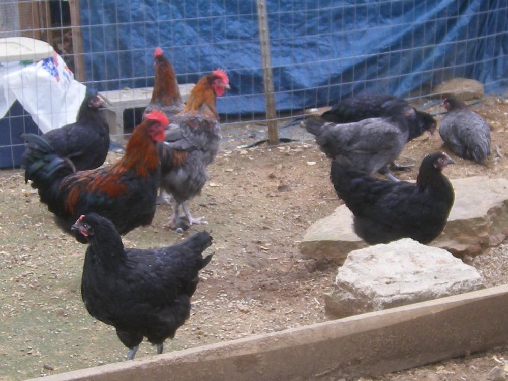 31282_4-18-2011mis111.jpg