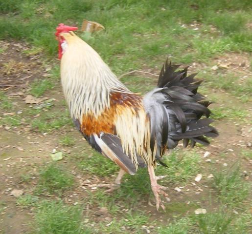 31282_5-22-2011misc045.jpg