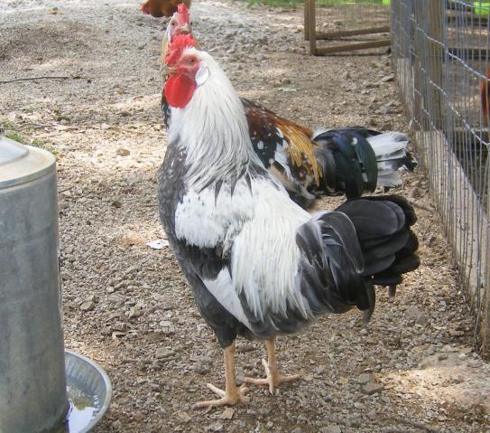 31282_5-22-2011misc069.jpg