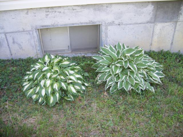 31282_5-6-2011misc024.jpg