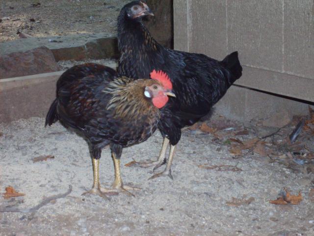 31282_7-29-10_055.jpg