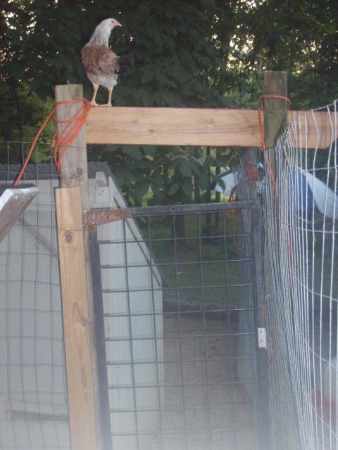 31282_8-09-10_003.jpg
