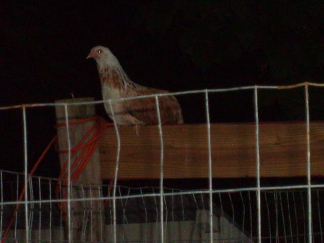 31282_8-09-10_008.jpg