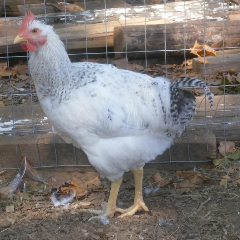 31282_8-18-2011m001.jpg
