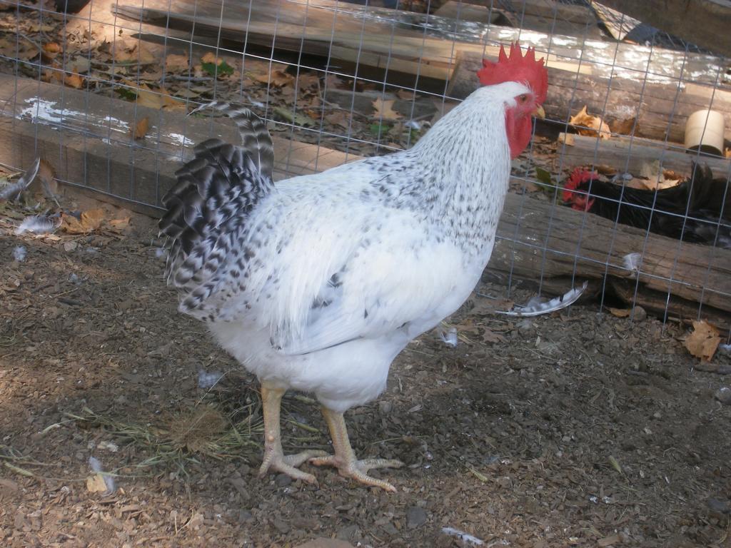 31282_8-18-2011m002.jpg